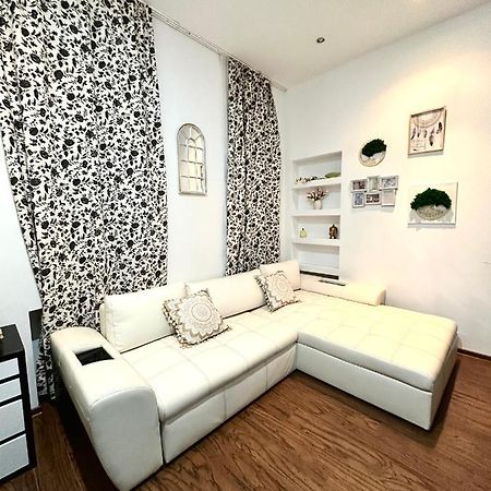 Harmony Homes- Piata Unirii Central Apartament Timişoara Exterior foto