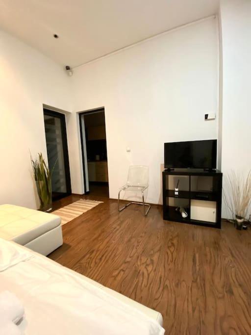 Harmony Homes- Piata Unirii Central Apartament Timişoara Exterior foto